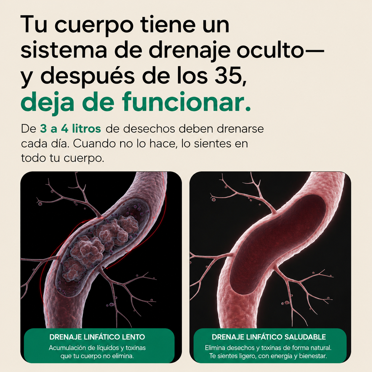 Nueva Fórmula de Máxima Potencia — Cápsulas de Drenaje Linfático